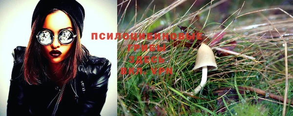 мет Нягань
