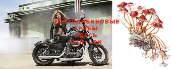 молекула духа Беслан