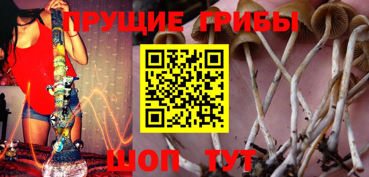 Псилоцибиновые грибы ЛСД  Хабаровск  Галлюциногенные грибы GOLDEN TEACHER 