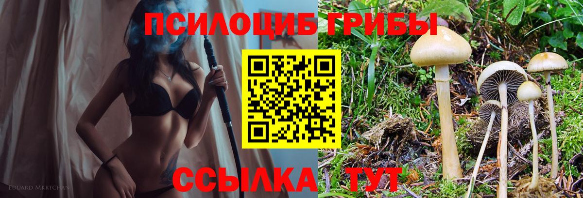 Псилоцибиновые грибы мицелий  Галлюциногенные грибы MAGIC MUSHROOMS  Вход с VPN  Хабаровск 